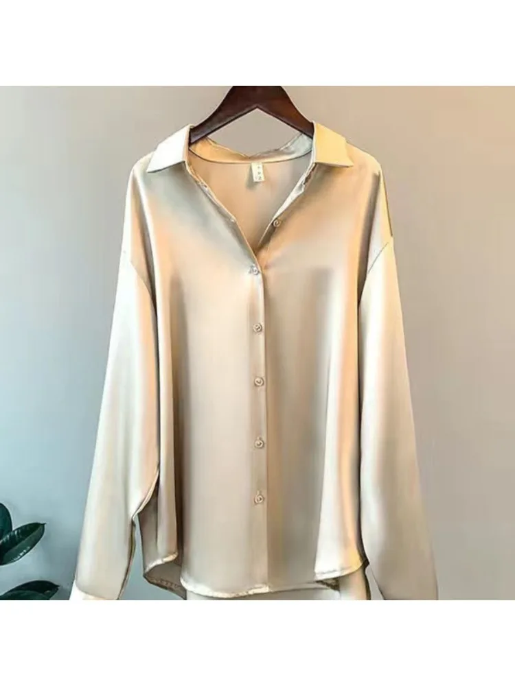 Artı Boyutu Rahat Kadın Ipek G - Women'S Formal Wear Blouse incelemesi ve fiyatı